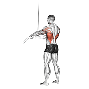 Cable Straight Arm Pulldown demonstration animation