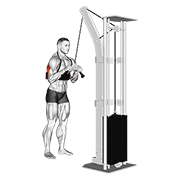 Cable Triceps Pushdown V Bar With Arm Blaster demonstration animation