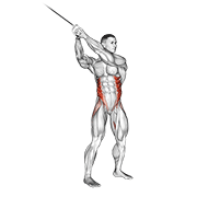 Cable Twist Up Down demonstration animation
