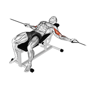 Cable Two Arm Curl On Incline Bench demonstration animation