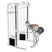 Cable Two Arm Tricep Kickback demonstration animation