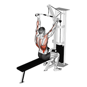 Cable Underhand Pulldown demonstration animation