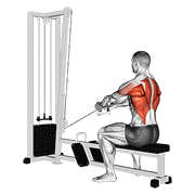 Cable Upper Row demonstration animation