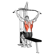 Cable Wide Grip Rear Pulldown Behind Neck demonstration animation