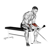 Cable Wrist Curl demonstration animation