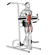 Captains Chair Straight Leg Raise demonstration animation