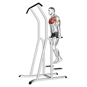 Chest Dip On Dip Pull Up Cage demonstration animation
