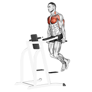 Chest Dip demonstration animation