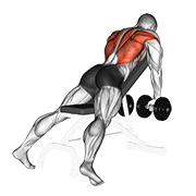 Chest Supported Row demonstration animation