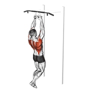 Chin Ups Narrow Parallel Grip demonstration animation