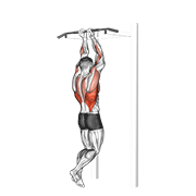 Close Grip Pullup demonstration animation