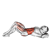 Cross Body Crunch demonstration animation