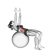 Crunch On Stability Ball Arms Straight demonstration animation