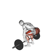 Deadlift demonstration animation