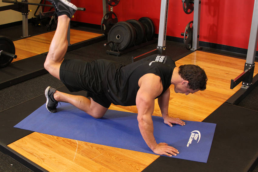 Donkey Kick — position 2
