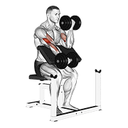 Dumbbell Alternate Preacher Curl demonstration animation