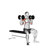 Dumbbell Arnold Press V2 demonstration animation