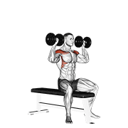 Dumbbell Bench Seated Press demonstration animation