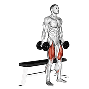 Dumbbell Bench Squat demonstration animation
