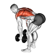 Dumbbell Bent Over Row demonstration animation
