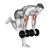 Dumbbell Bicep Curl With Stork Stance demonstration animation