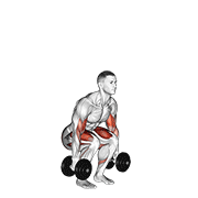 Dumbbell Biceps Curl Squat demonstration animation