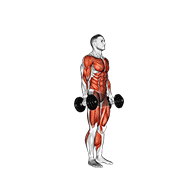 Dumbbell Burpee demonstration animation