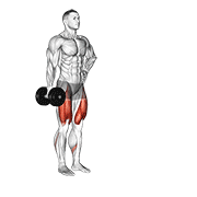 Dumbbell Contralateral Forward Lunge demonstration animation
