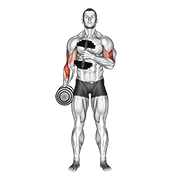 Dumbbell Cross Body Hammer Curl V2 demonstration animation
