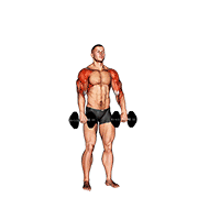 Dumbbell Cuban Press V2 demonstration animation