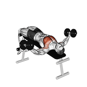 Dumbbell Decline Fly demonstration animation