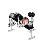 Dumbbell Decline Hammer Press demonstration animation