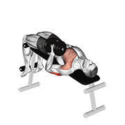 Dumbbell Decline One Arm Hammer Press demonstration animation