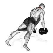 Dumbbell Decline Shrug V2 demonstration animation