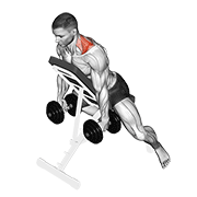 Dumbbell Decline Shrug demonstration animation