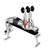 Dumbbell Decline Triceps Extension demonstration animation