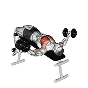 Dumbbell Decline Twist Fly demonstration animation