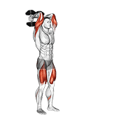 Dumbbell Forward Lunge Triceps Extension demonstration animation
