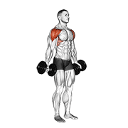 Dumbbell Full Can Lateral Raise demonstration animation