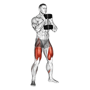 Dumbbell Goblet Squat demonstration animation