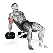 Dumbbell Incline Biceps Curl demonstration animation