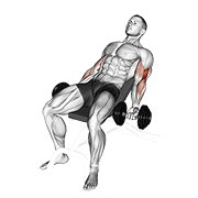 Dumbbell Incline Curl V2 demonstration animation