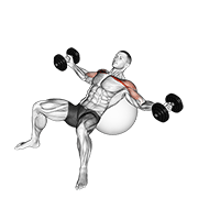 Dumbbell Incline Fly On Exercise Ball demonstration animation
