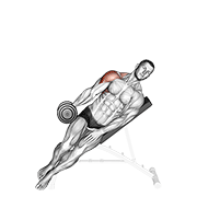 Dumbbell Incline One Arm Lateral Raise demonstration animation