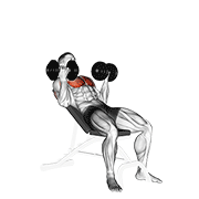 Dumbbell Incline Palm In Press demonstration animation