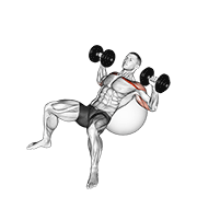 Dumbbell Incline Press On Exercise Ball demonstration animation
