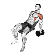 Dumbbell Incline Raise demonstration animation