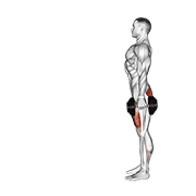 Dumbbell Lunge demonstration animation