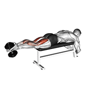 Dumbbell Lying Femoral demonstration animation