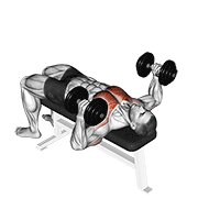 Dumbbell Lying Hammer Press demonstration animation
